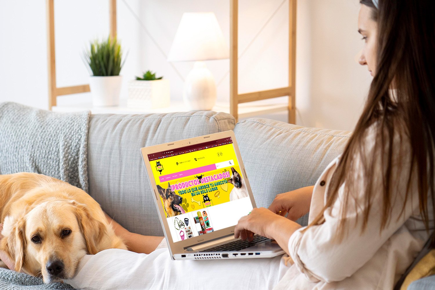 neko pet shop artículos para mascotas